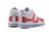 Nike LeBron 10 JE Icon QS James x John Elliott Icon White Red AQ0114-003