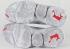 Nike LeBron 16 Low Wolf Grey White University Red CI2668-003