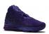 Nike Lebron 17 Bron 2k Purple Court BQ3177-500