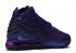 Nike Lebron 17 Bron 2k Purple Court BQ3177-500