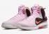 Nike Zoom LeBron 9 King of LA Regal Pink Multi-Color Velvet Brown DJ3908-600