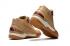 Nike Zoom Lebron I 1 limited edition brown white Men Basketball Shoes
