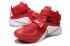 Nike Lebron Soldier IX 9 TB EP Jamens OSU Home Men Basketball Shoes Red White Silver 749500-601