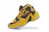 Nike LeBron 13 EP XIII James Basketball Shoes Bumblebee Black Yellow 823301