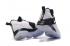 Nike LeBron Low XIV 14 Black History White basketball men shoes 860634-100