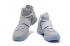 Nike LeBron Low XIV 14 Opening night gray White yelloe basketball men shoes