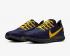 Nike Air Zoom Pegasus 36 Michgan CI2072-400