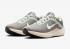 Nike Air Winflo 10 Flat Pewter Iron Grey Photon Dust FN7499-029